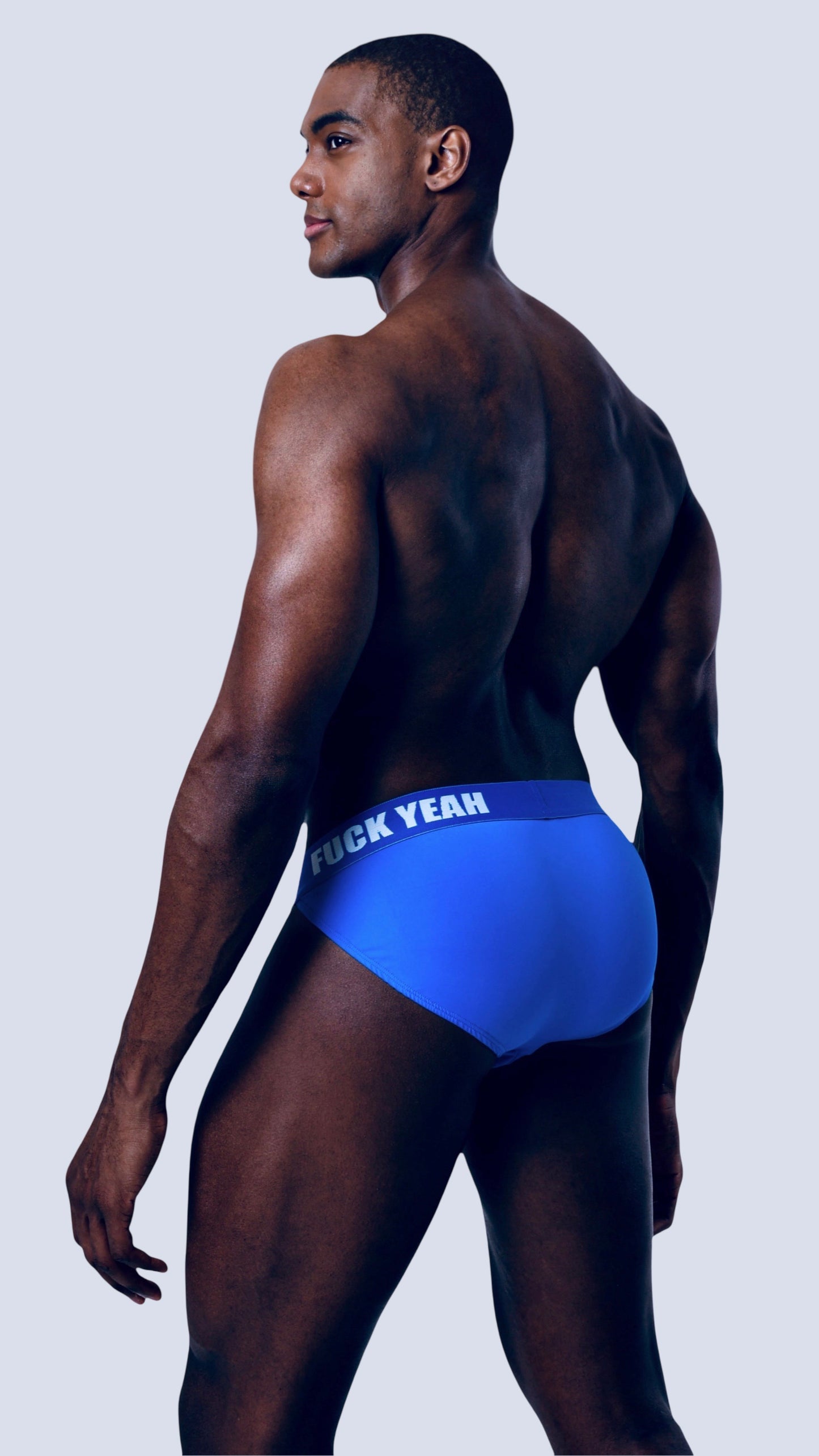 COBALT SIDE CUT BRIEF
