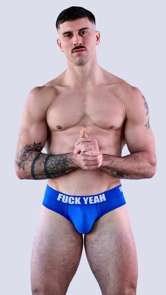 BLUE ORIGINAL BRIEF