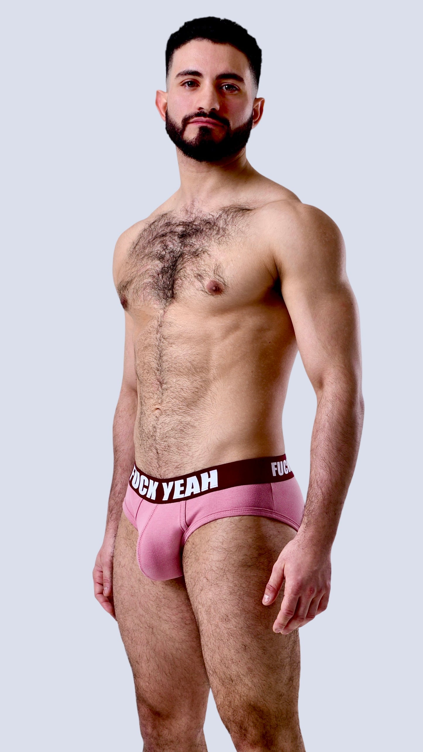 BOYSENBERRY ORIGINAL BRIEF