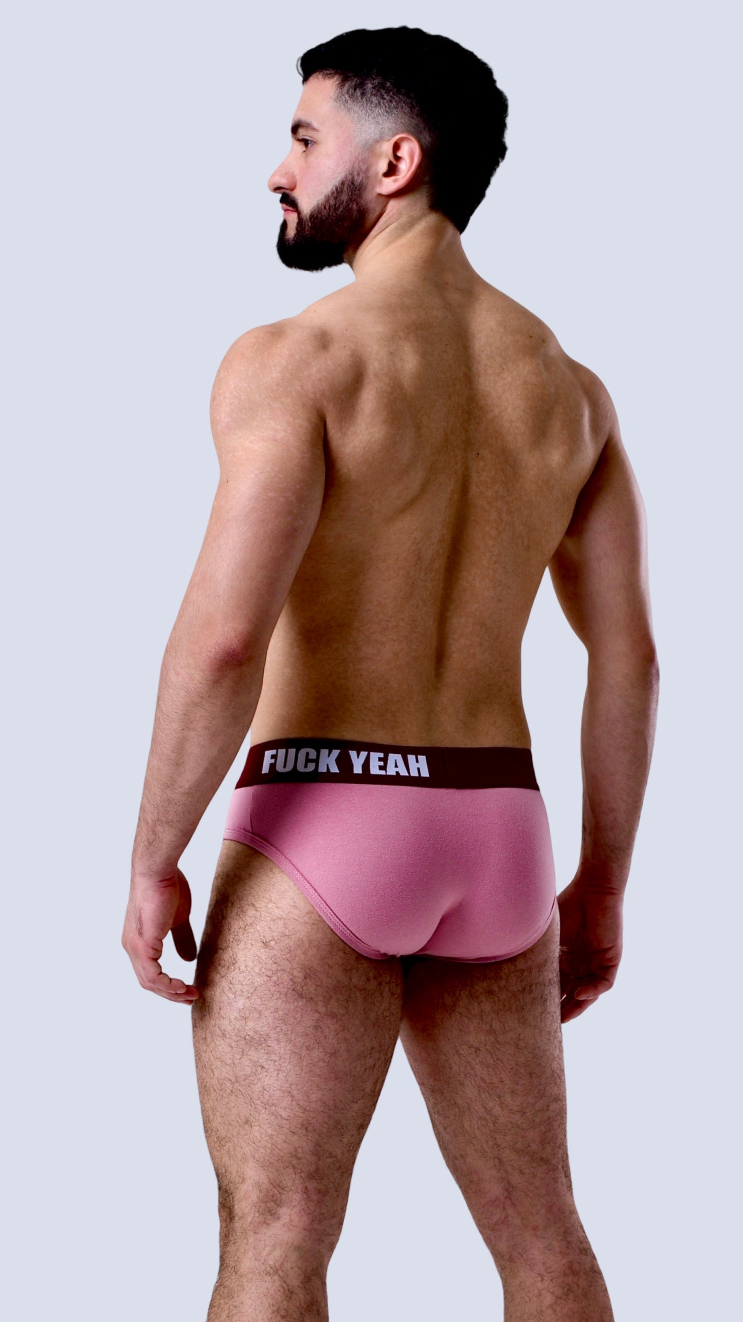 BOYSENBERRY ORIGINAL BRIEF