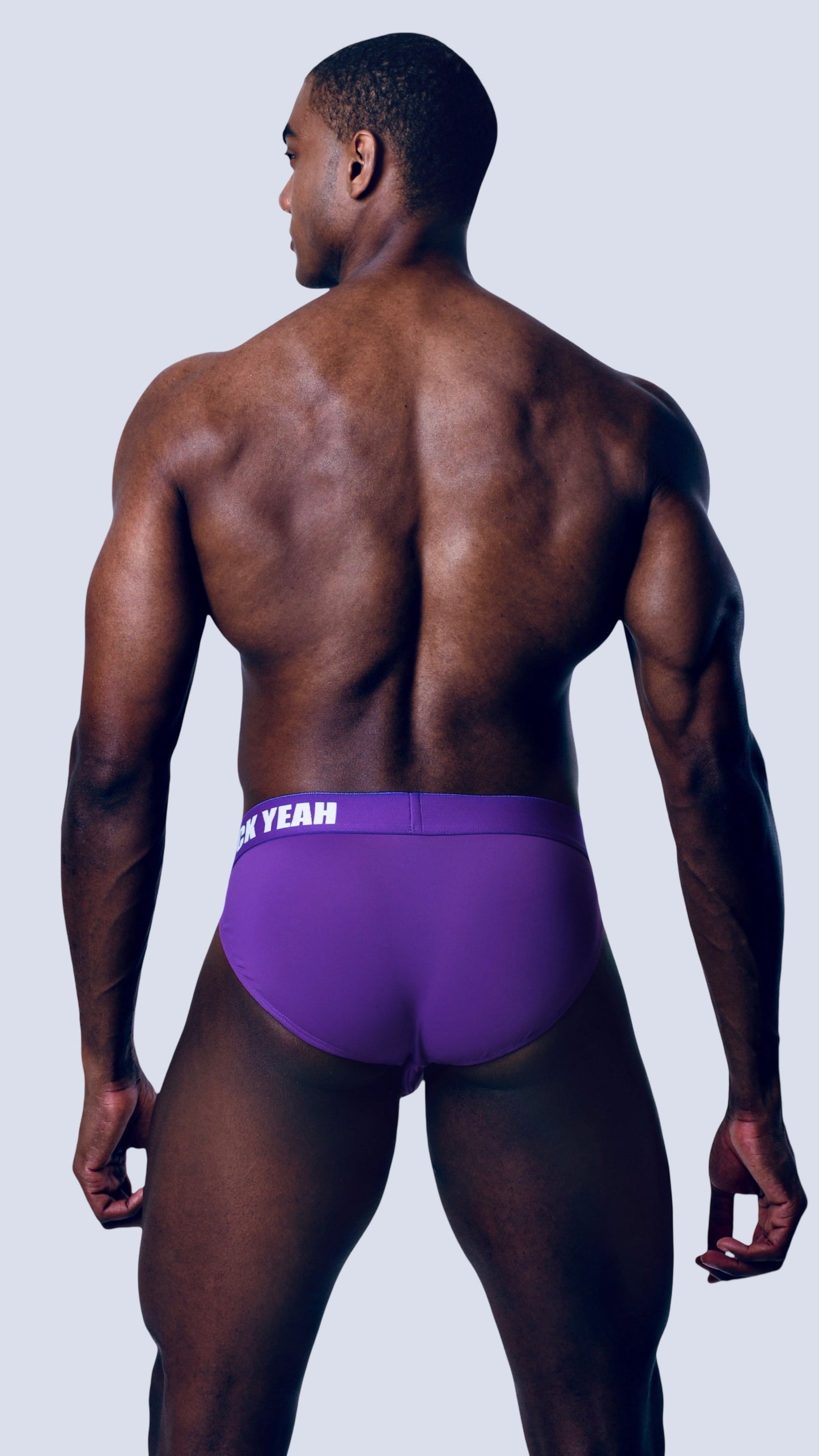 PLUM SIDE CUT BRIEF