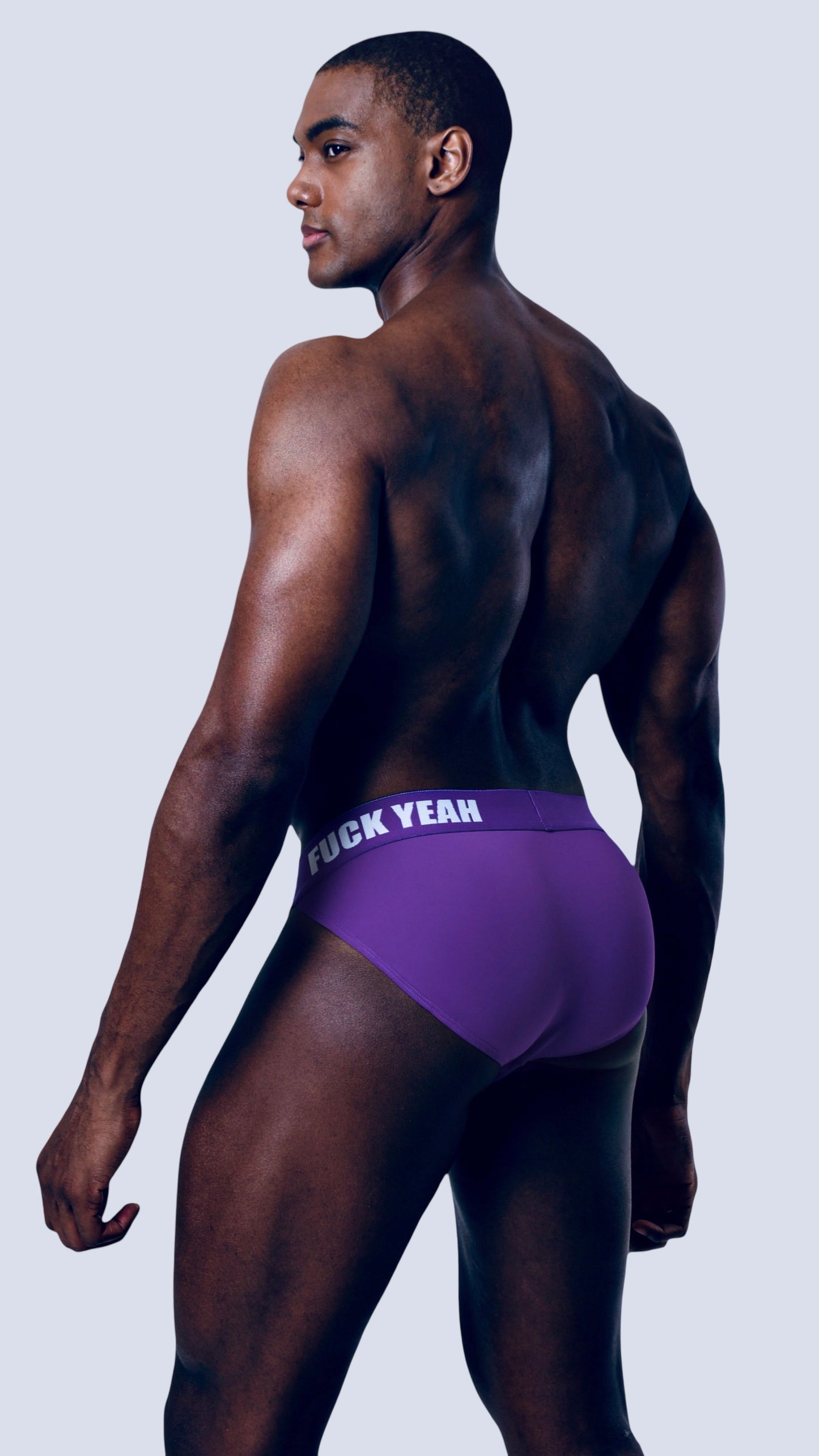 PLUM SIDE CUT BRIEF