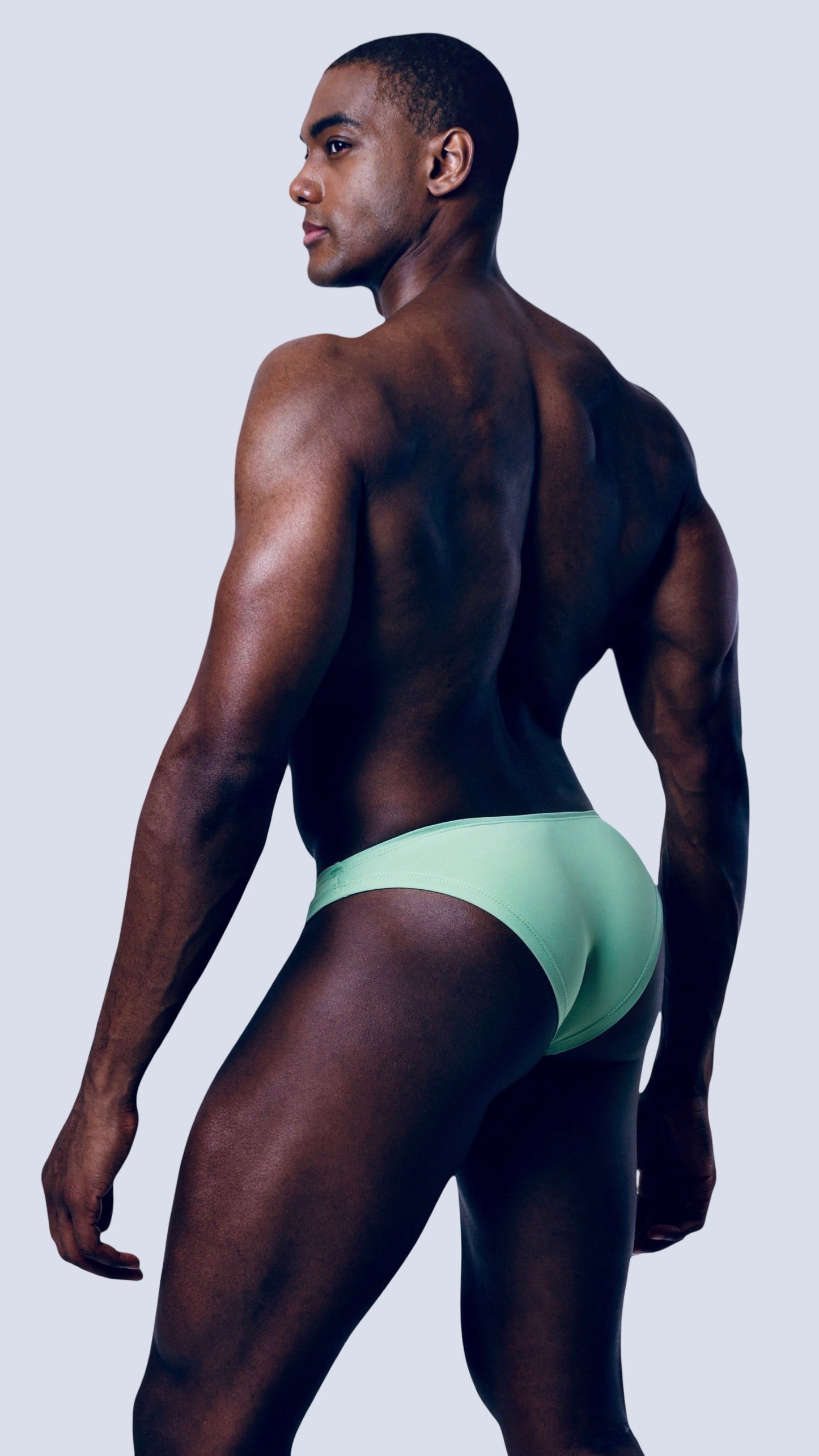FOREST MICRO BRIEF