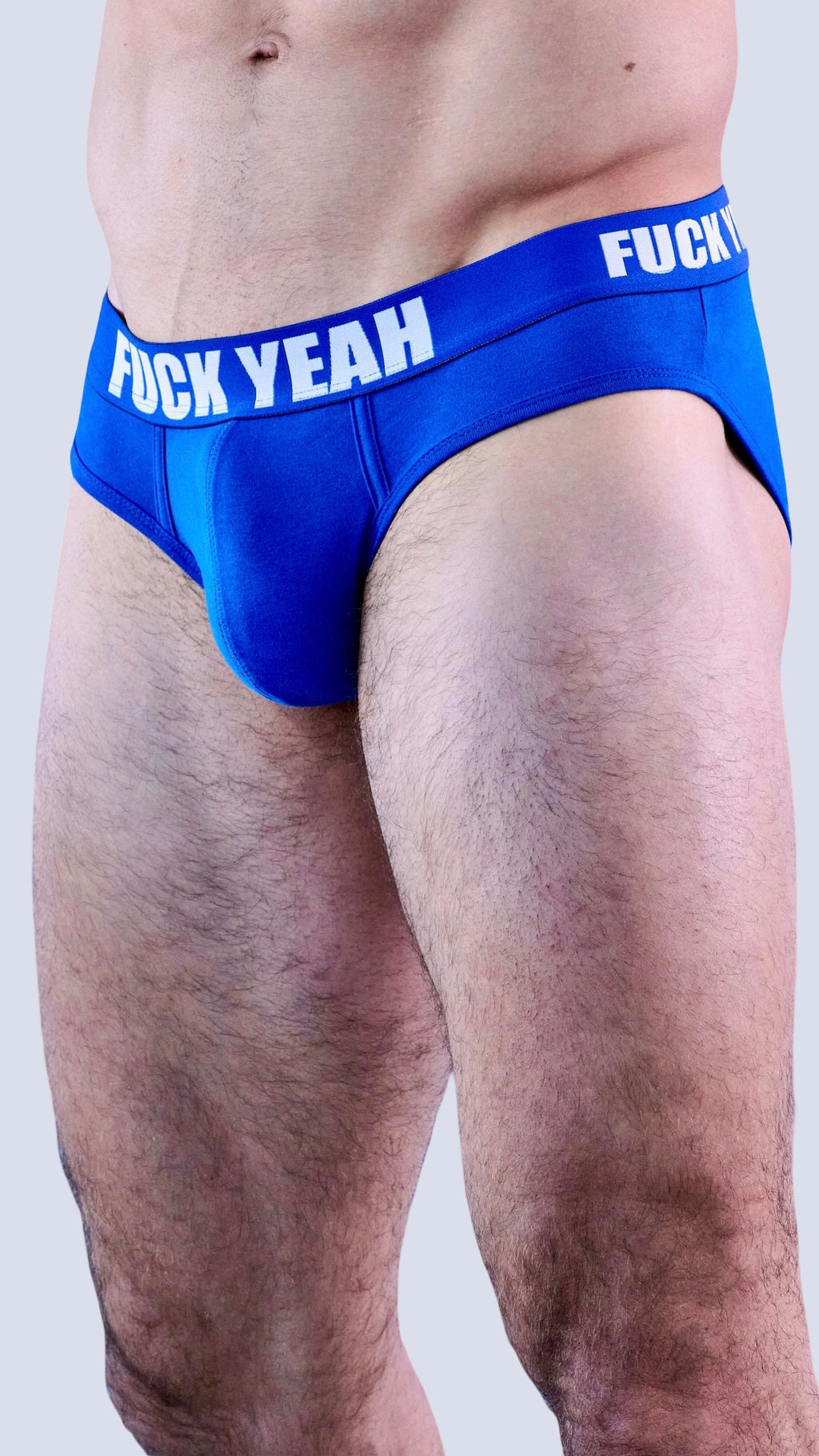 BLUE ORIGINAL BRIEF