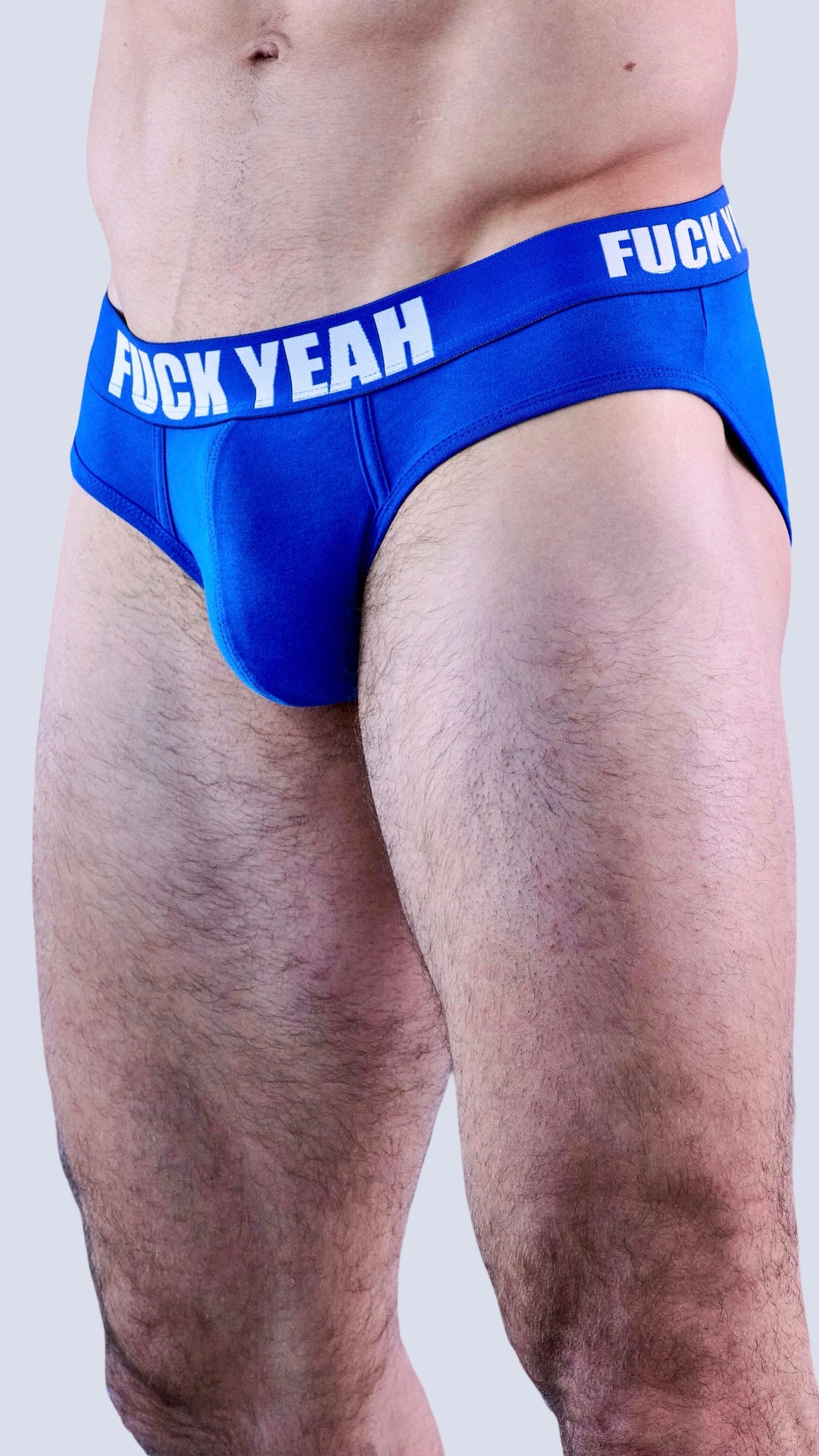 BLUE ORIGINAL BRIEF