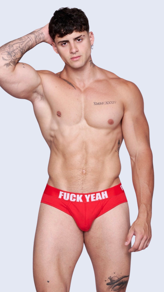 RED ORIGINAL BRIEF