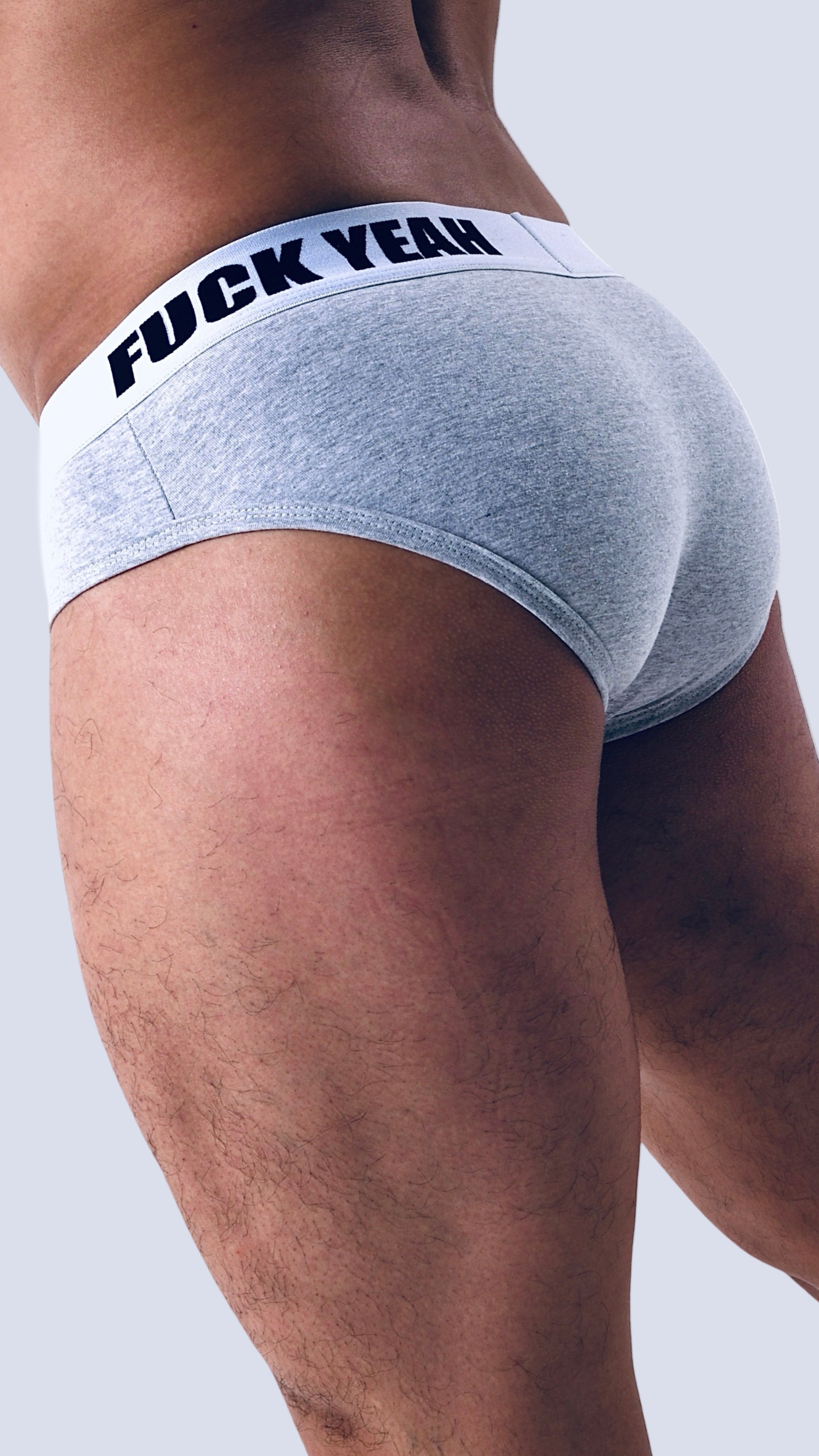 SILVER HEAT ORIGINAL BRIEF