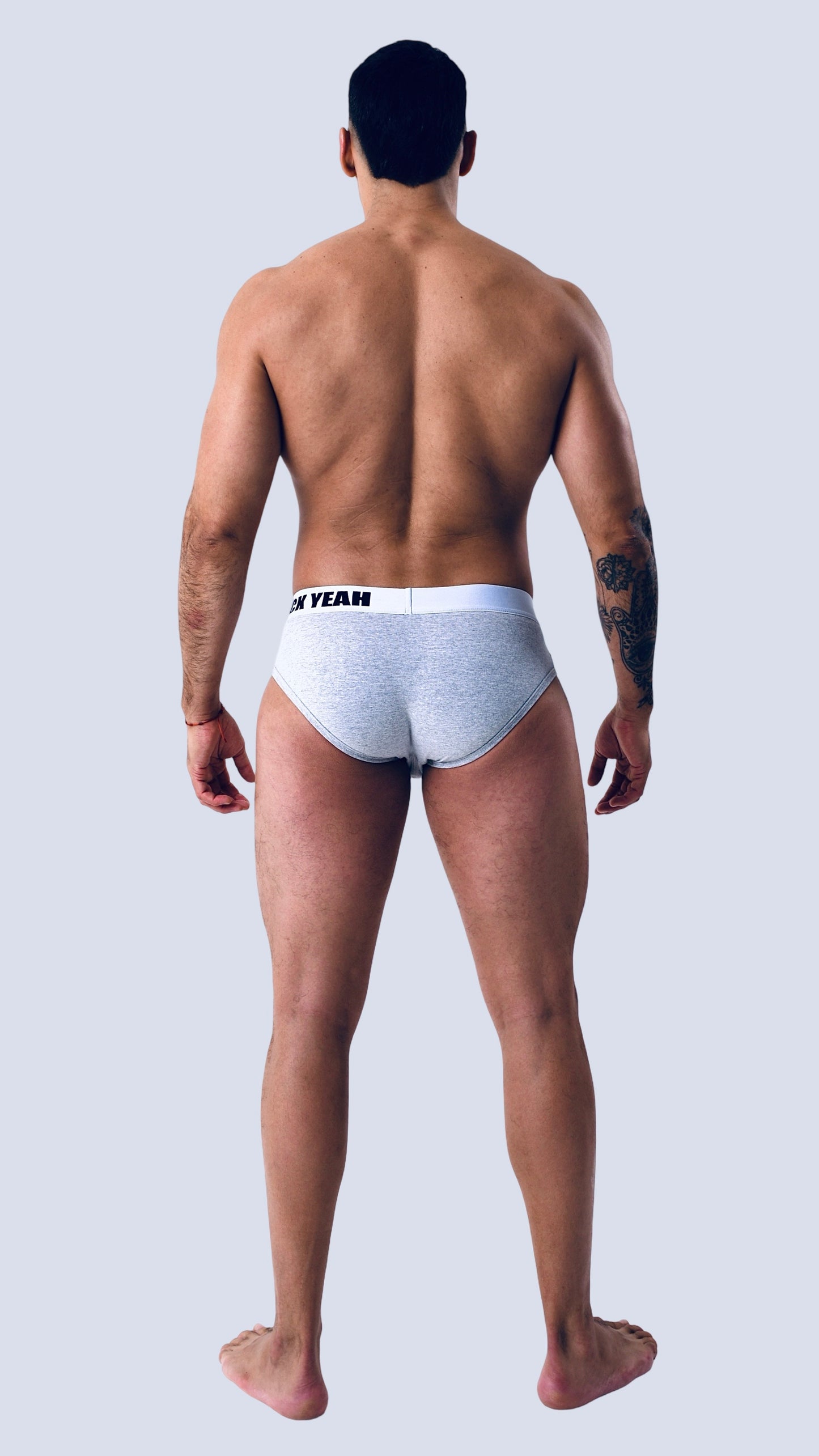SILVER HEAT ORIGINAL BRIEF