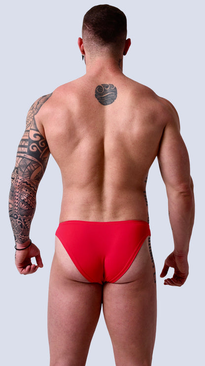 WILD BERRY MICRO BRIEF